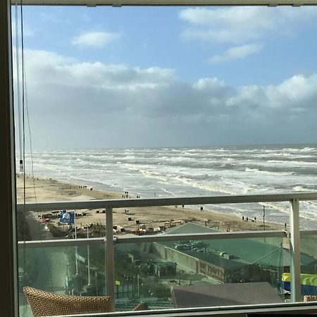 Dreamview Apartment Zandvoort Eksteriør billede